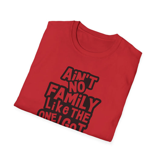 👕 Ain’t No Family Like the One I Got – Reunion Tee ❤️🎉