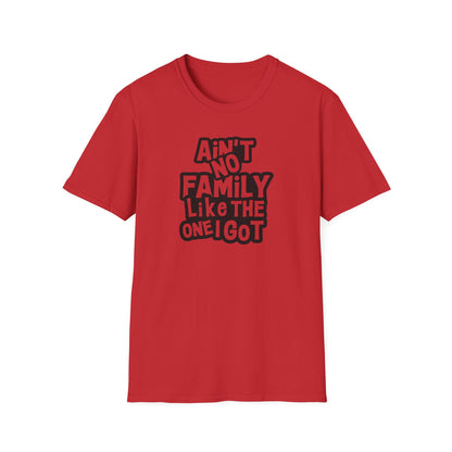 👕 Ain’t No Family Like the One I Got – Reunion Tee ❤️🎉