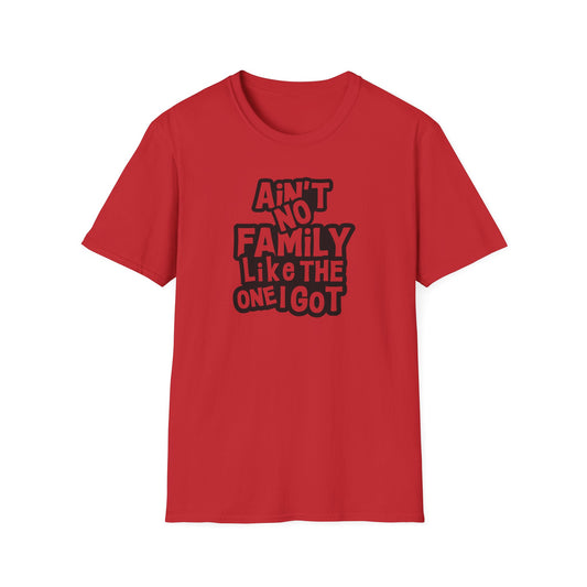 👕 Ain’t No Family Like the One I Got – Reunion Tee ❤️🎉